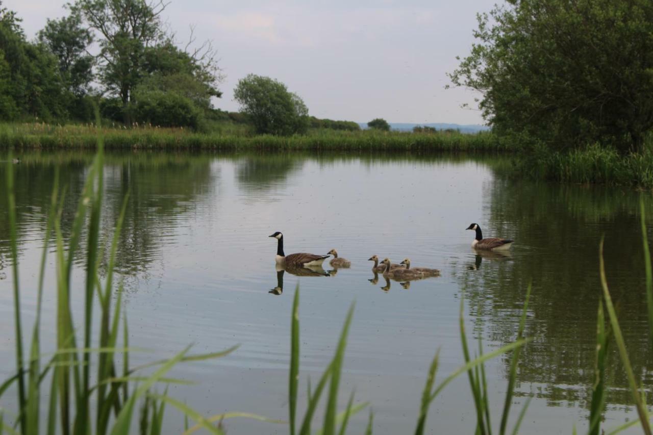 Fair Farm Hideaway Villa Waltham on the Wolds Luaran gambar